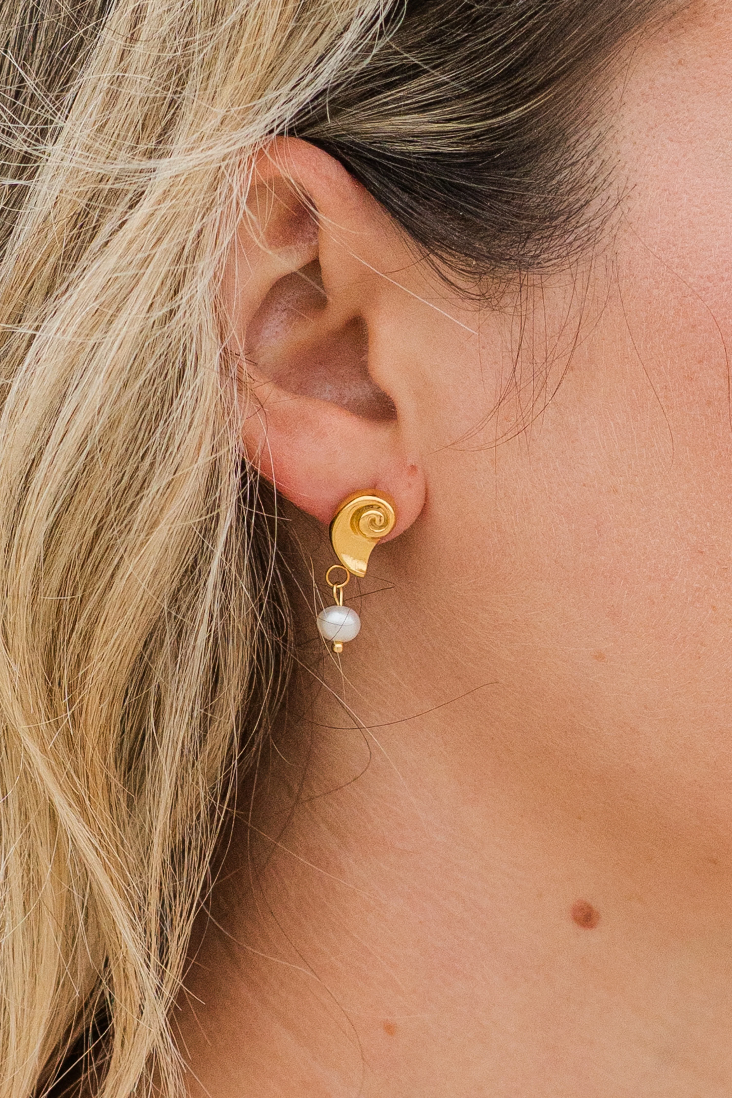 My Sister's Cottage | Waterproof | Nautilus Drop Earrings - Image 3