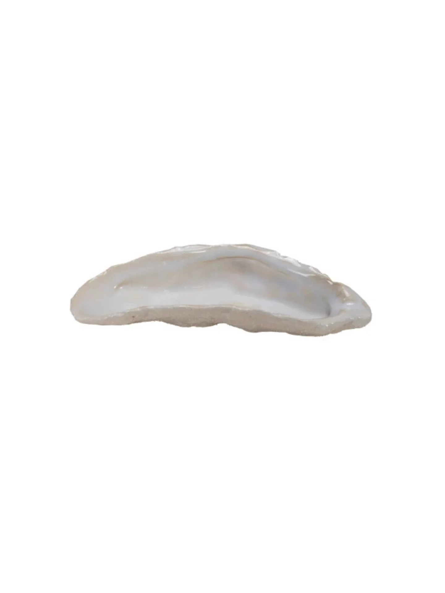 Stoneware Oyster Shell Dish - Image 4