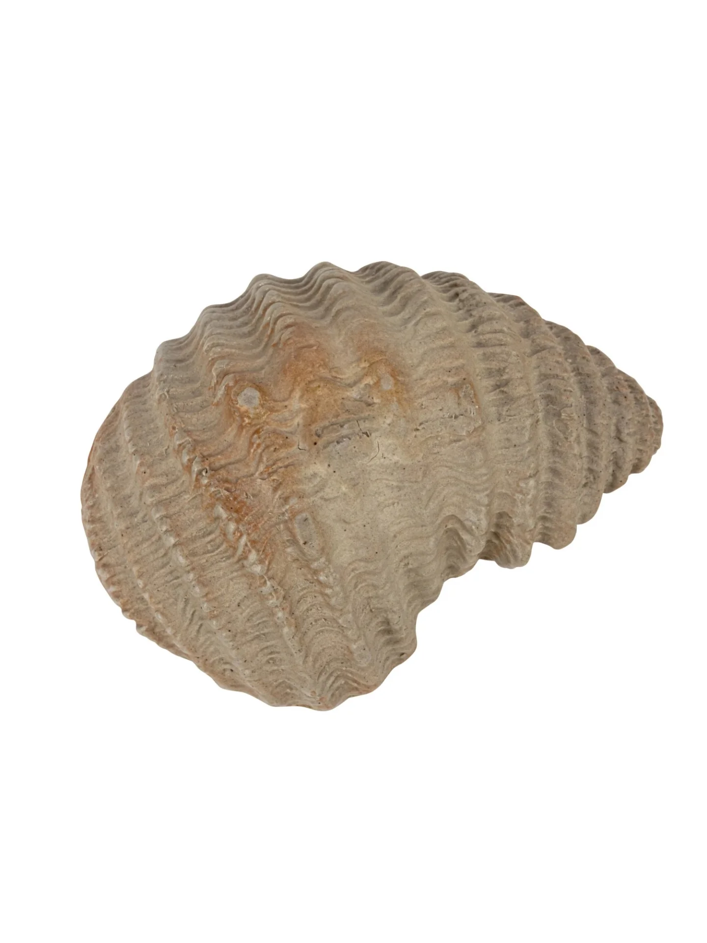 Stoneware Shell Dish - Image 3